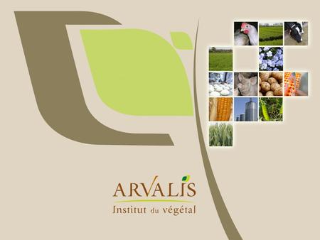 «Agroécologie » : quelle réalité, et quelle stratégie pour ARVALIS