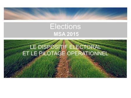 Elections MSA 2015 LE DISPOSITIF ELECTORAL ET LE PILOTAGE OPERATIONNEL.