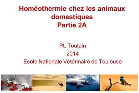 Homéothermie chez les animaux domestiques Partie 2A