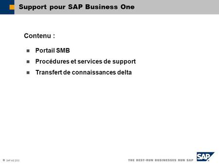 Support pour SAP Business One