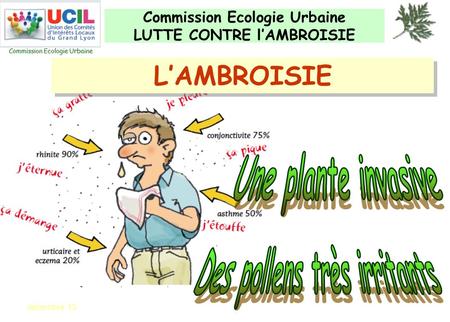 Commission Ecologie Urbaine LUTTE CONTRE l’AMBROISIE Commission Ecologie Urbaine décembre 13 L’AMBROISIE.