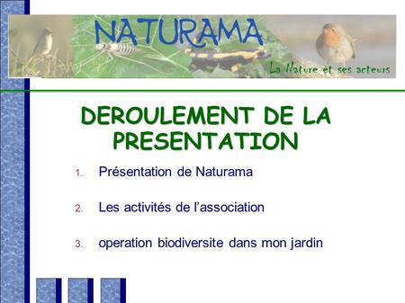 DEROULEMENT DE LA PRESENTATION