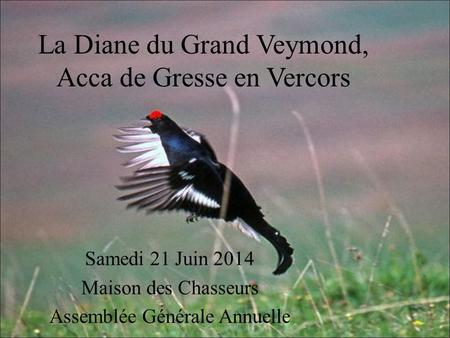 La Diane du Grand Veymond, Acca de Gresse en Vercors