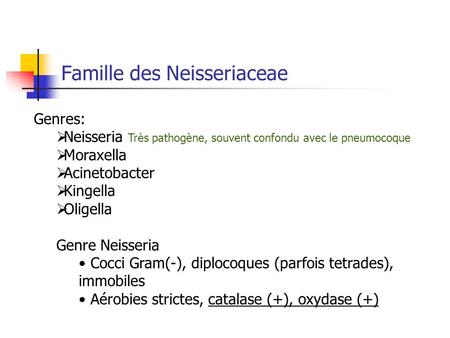 Famille des Neisseriaceae