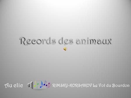 Records des animaux Au clic RIMSKY-KORSAKOV Le Vol du Bourdon.