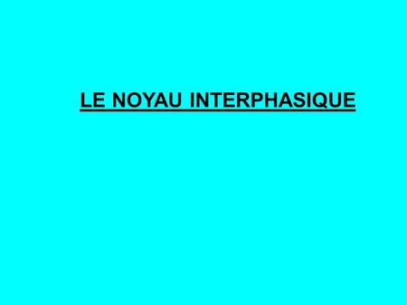 LE NOYAU INTERPHASIQUE