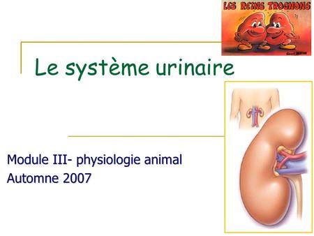 Module III- physiologie animal Automne 2007