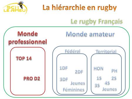 La hiérarchie en rugby Le rugby Français Monde amateur Monde