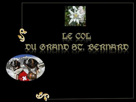 Le col Du Grand St. Bernard.