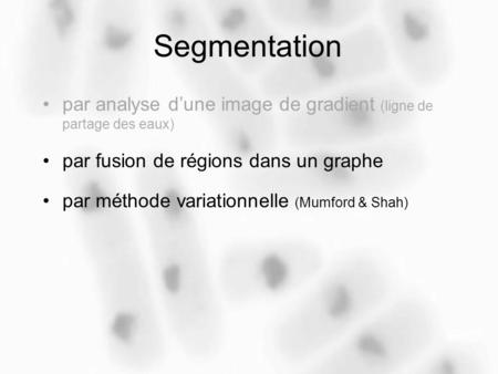 Segmentation par analyse d’une image de gradient (ligne de partage des eaux) par fusion de régions dans un graphe par méthode variationnelle (Mumford.