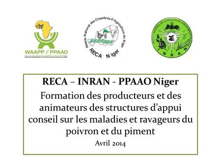 RECA – INRAN - PPAAO Niger