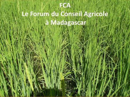 FCA Le Forum du Conseil Agricole à Madagascar