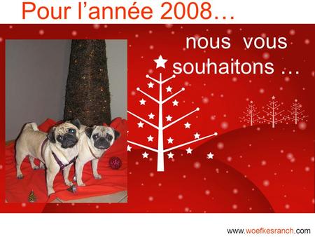 Pour l’année 2008… nous vous souhaitons … www.woefkesranch.com.