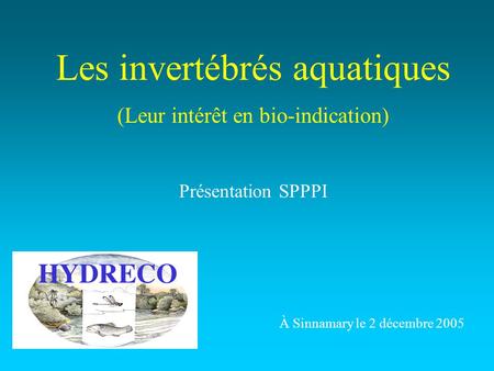 Les invertébrés aquatiques