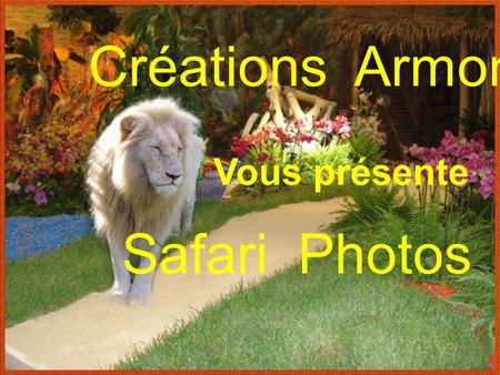 Créations Armony Vous présente Safari Photos Pas mal ma tenue de camouflage !