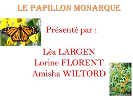 INTRODUCTION présentée par léa. Le papillon monarque Présenté par : Léa LARGEN Lorine FLORENT Amisha WILTORD.