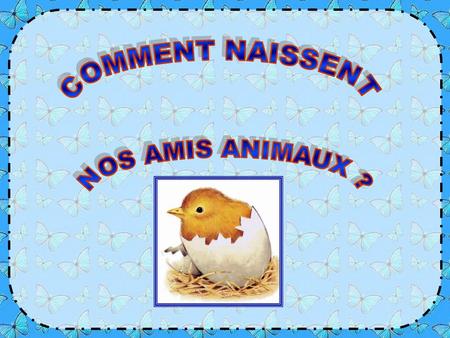 COMMENT NAISSENT NOS AMIS ANIMAUX ?.