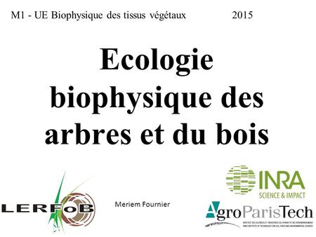 Ecologie biophysique des arbres et du bois
