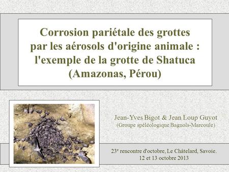 Corrosion pariétale des grottes par les aérosols d'origine animale :