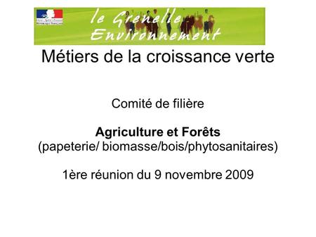 Métiers de la croissance verte Comité de filière Agriculture et Forêts (papeterie/ biomasse/bois/phytosanitaires)‏ 1ère réunion du 9 novembre 2009.