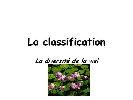 La classification La diversité de la vie!.