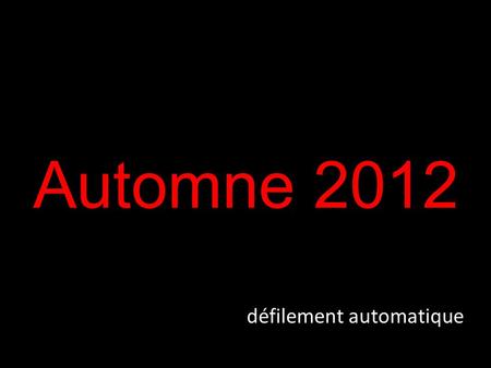 Automne 2012 défilement automatique Quais de Villeneuve sous le stratus le 15 novembre 2012.