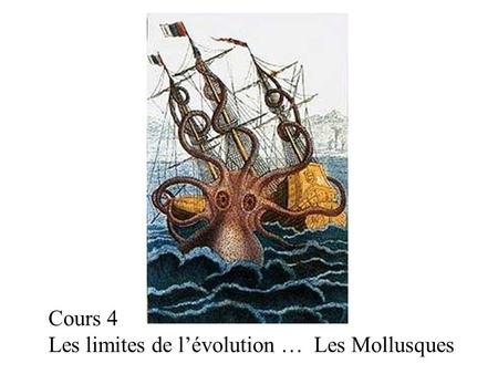 Cours 4 Les limites de l’évolution … Les Mollusques.