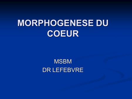 MORPHOGENESE DU COEUR MSBM DR LEFEBVRE.