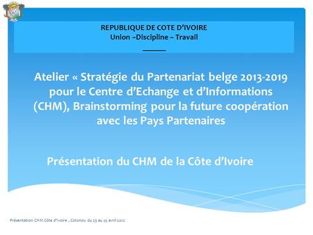Atelier « Stratégie du Partenariat belge 2013-2019 pour le Centre d’Echange et d’Informations (CHM), Brainstorming pour la future coopération avec les.