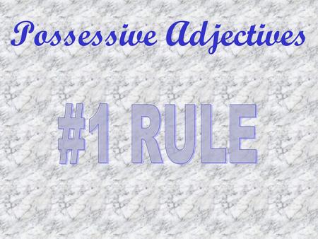 Possessive Adjectives. Possession What matters is what is possessed. Possessive adjectives must agree with the gender of the object, NOT the owner.