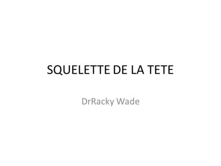 SQUELETTE DE LA TETE DrRacky Wade.