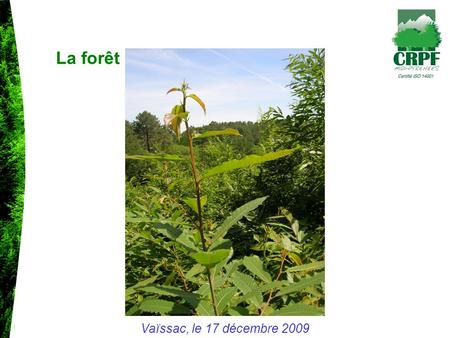 Vaïssac, le 17 décembre 2009 La forêt. Établissement Public National Certifié ISO 14001 (Management Environnemental) Le CRPF Midi Pyrénées Orienter et.