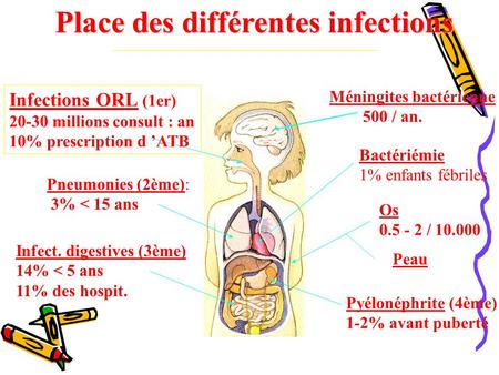 Place des différentes infections
