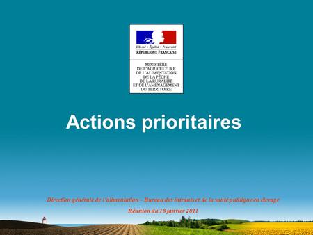 Actions prioritaires Direction générale de l’alimentation – Bureau des intrants et de la santé publique en élevage Réunion du 18 janvier 2011.