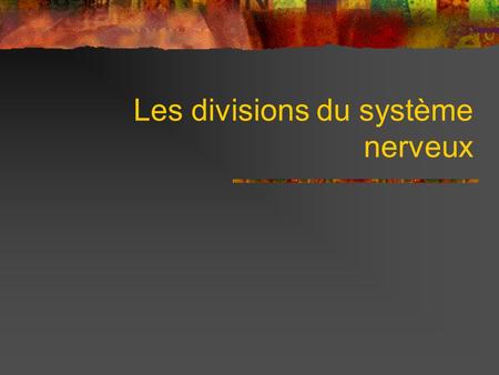 Les divisions du système nerveux
