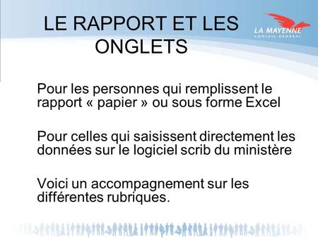 LE RAPPORT ET LES ONGLETS Pour les personnes qui remplissent le rapport « papier » ou sous forme Excel Pour celles qui saisissent directement les données.