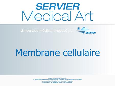 Membrane cellulaire Un service médical proposé par Utilisation non commerciale uniquement. Les images de Servier Medical Art sont téléchargeables et utilisables.