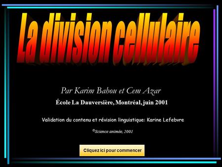 La division cellulaire École La Dauversière, Montréal, juin 2001