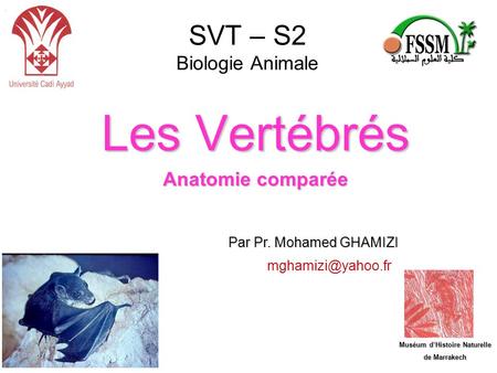 SVT – S2 Biologie Animale