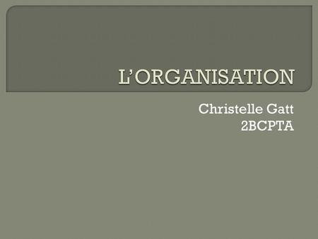 L’ORGANISATION Christelle Gatt 2BCPTA.