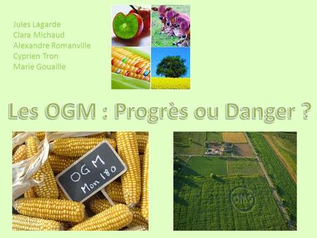 Les OGM : Progrès ou Danger ?