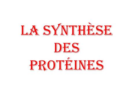 La synthèse des protéines