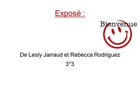 De Lesly Jarraud et Rebecca Rodriguez 3°3