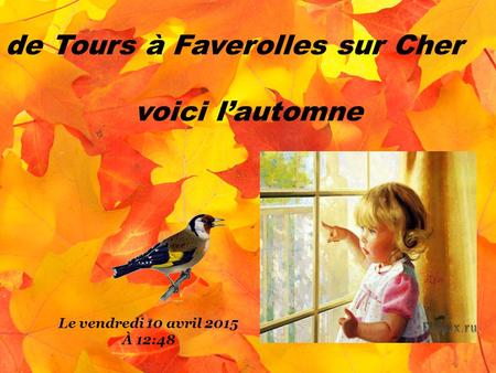 Le vendredi 10 avril 2015 À 12:50 de Tours à Faverolles sur Cher voici l’automne.