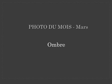 PHOTO DU MOIS - Mars Ombre. Arbre de la sorcière Belle interprétation du thème.