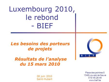 Les besoins des porteurs de projets Résultats de l’analyse du 15 mars 2010 Luxembourg 2010, le rebond - BIEF 08 juin 2010 Saint-Hubert Place des peintres.