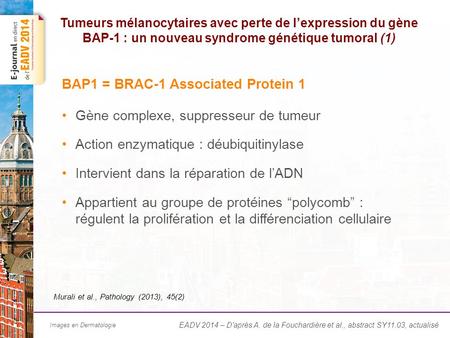Les mutations BAP1 germinales mènent à différents types de tumeurs