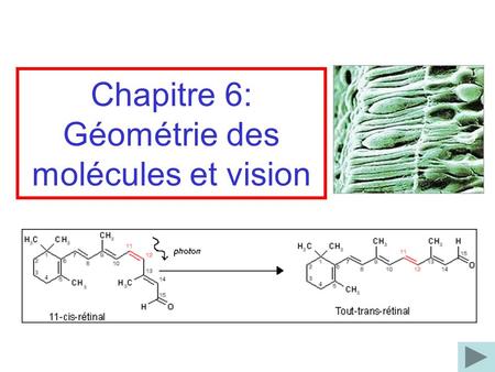 Chapitre 6: Géométrie des molécules et vision