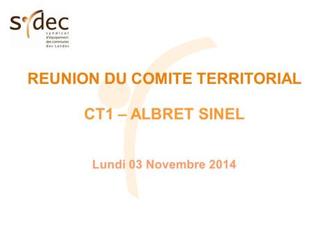 REUNION DU COMITE TERRITORIAL CT1 – ALBRET SINEL Lundi 03 Novembre 2014.