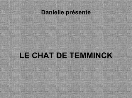 Danielle présente LE CHAT DE TEMMINCK.